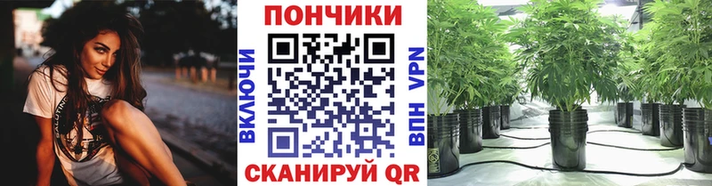 МАРИХУАНА Инта