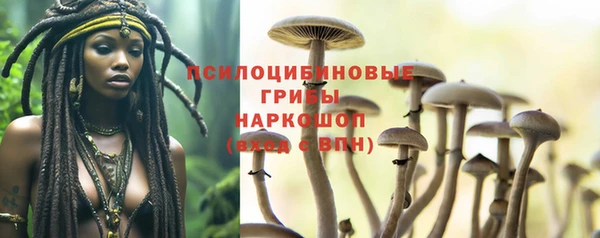 дурь Вяземский