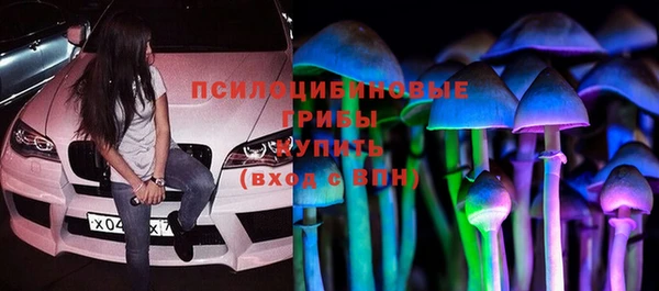 spice Вязьма