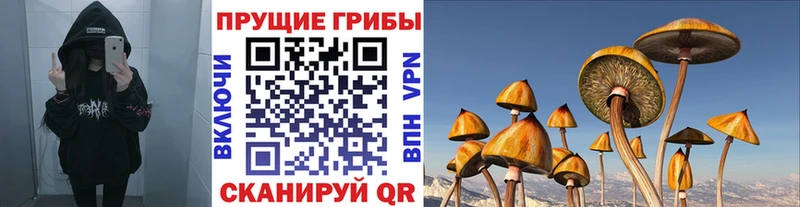 Купить  Инта  Псилоцибиновые грибы прущие грибы 